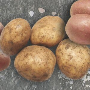 zemiaky agria
